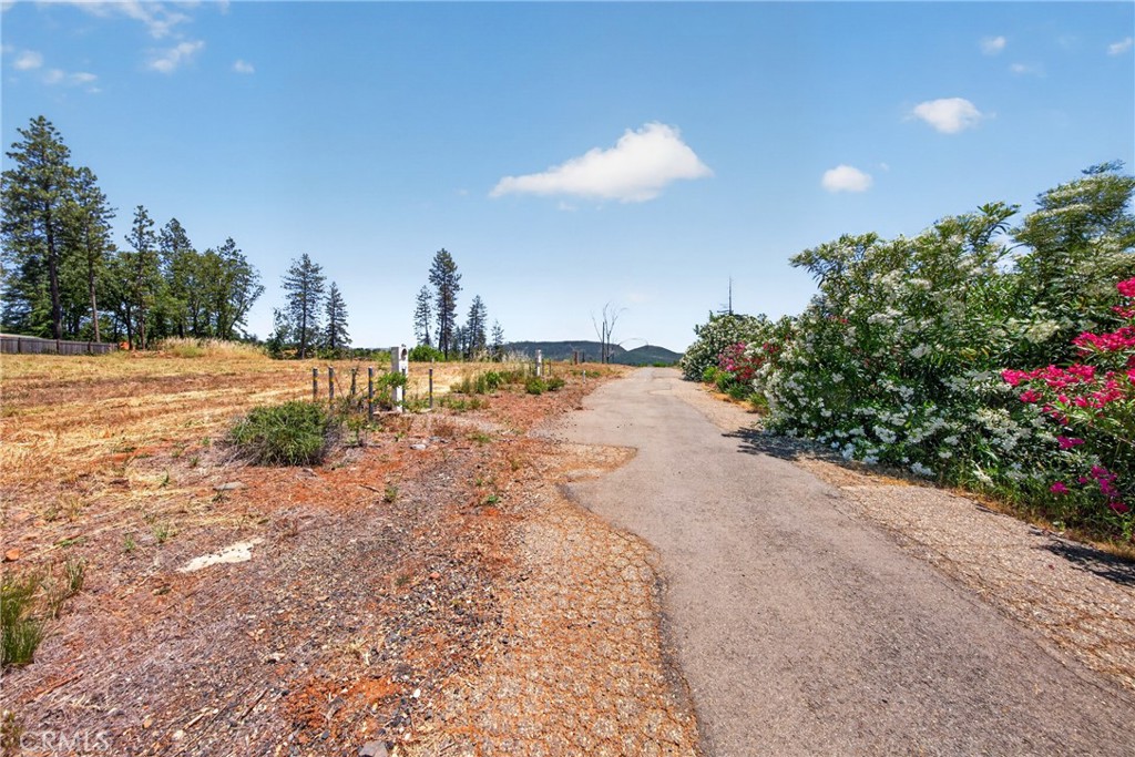 6280 Pentz Road Property Photo 9