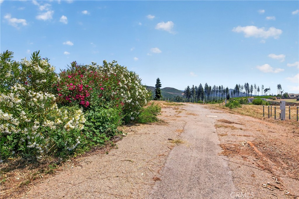 6280 Pentz Road Property Photo 10