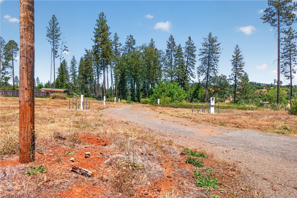 6280 Pentz Road Property Photo 12