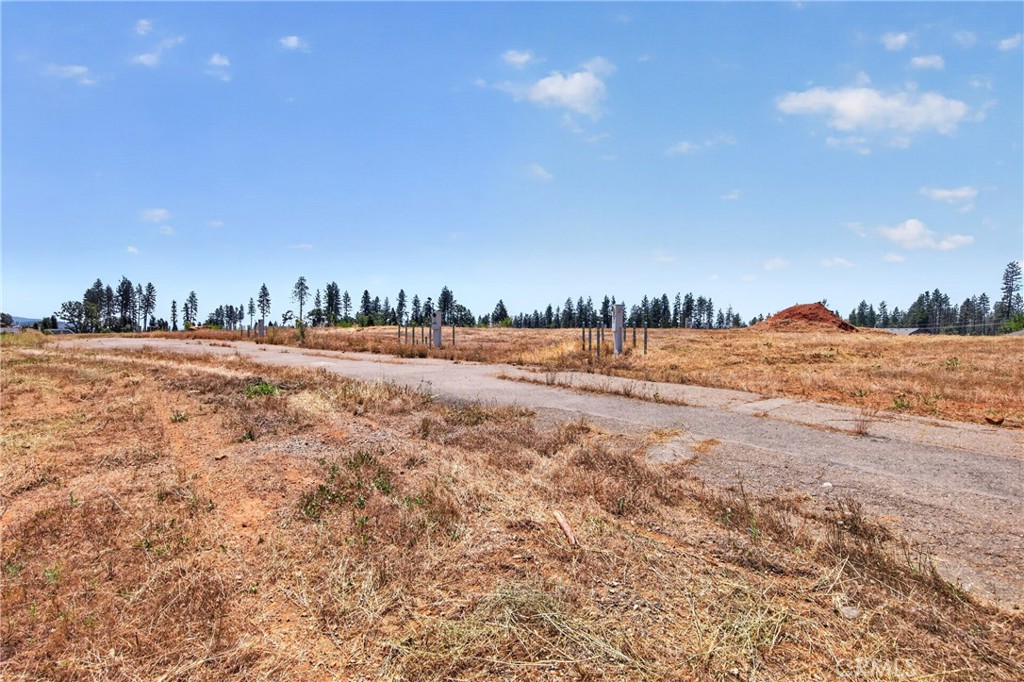 6280 Pentz Road Property Photo 14