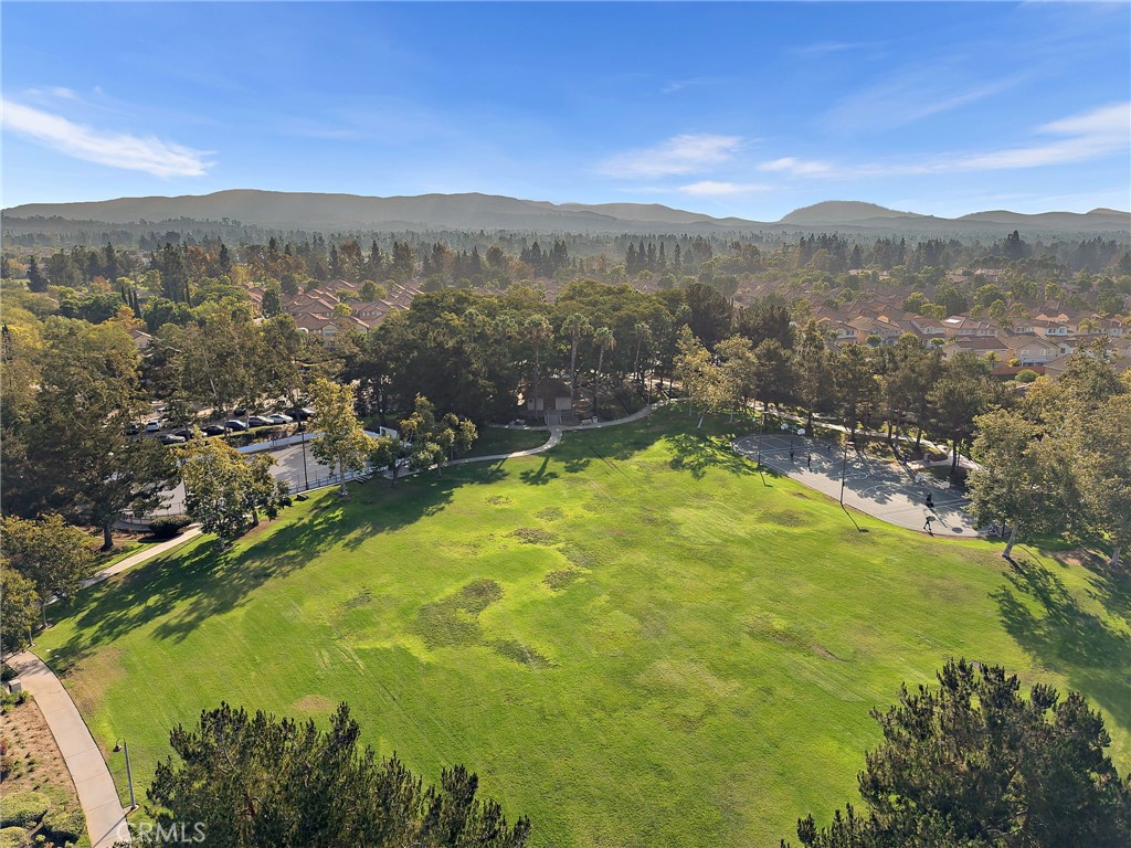 13212 Cortina Property Photo 62