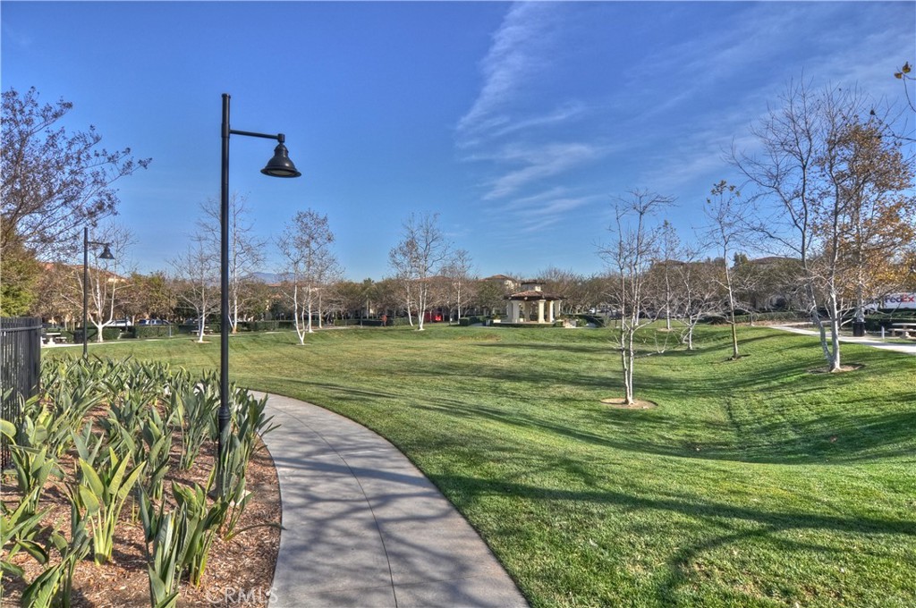 95 Canopy Property Photo 45