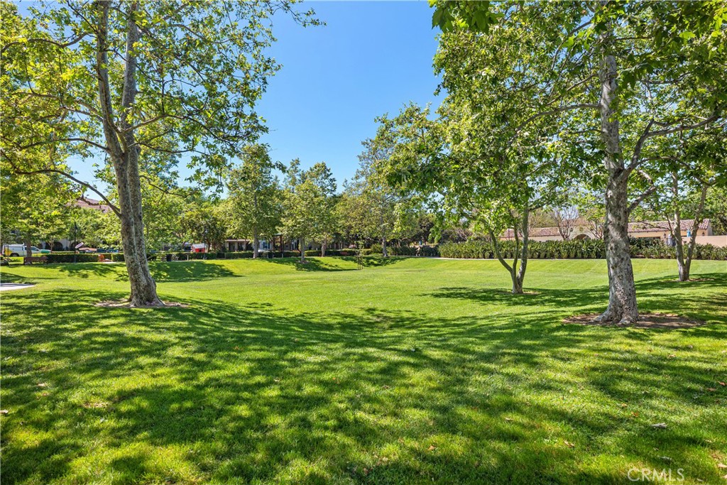 95 Canopy Property Photo 46