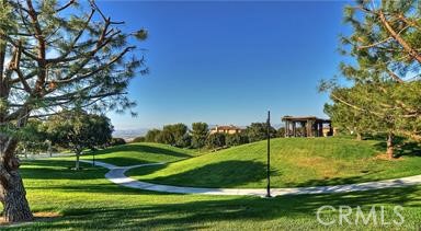 95 Canopy Property Photo 50