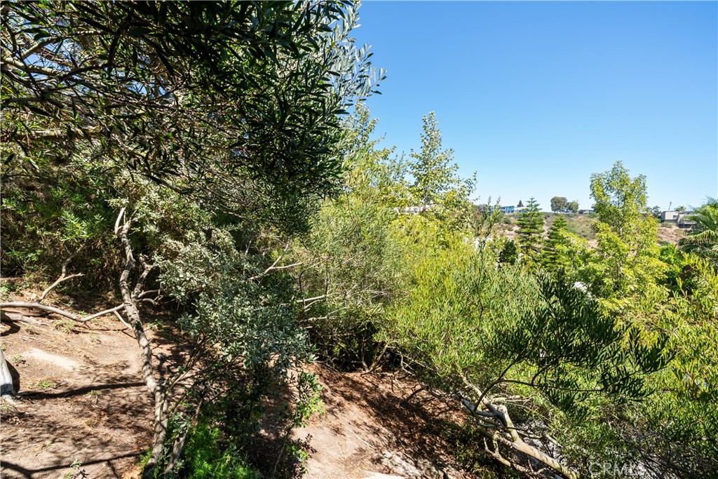 2210 Bridge Property Photo 29