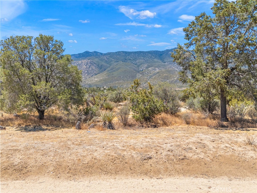 1 Sonora Property Photo 4