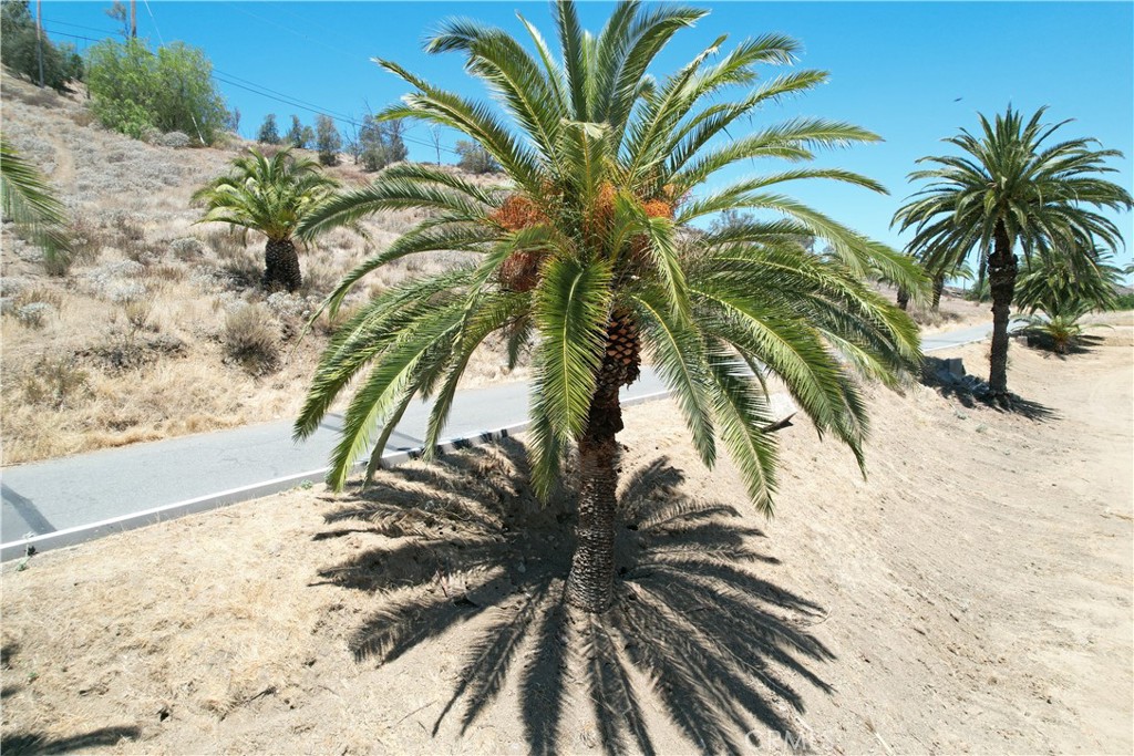 1 Palm Drive Property Photo 10