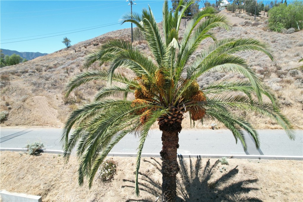 1 Palm Drive Property Photo 11