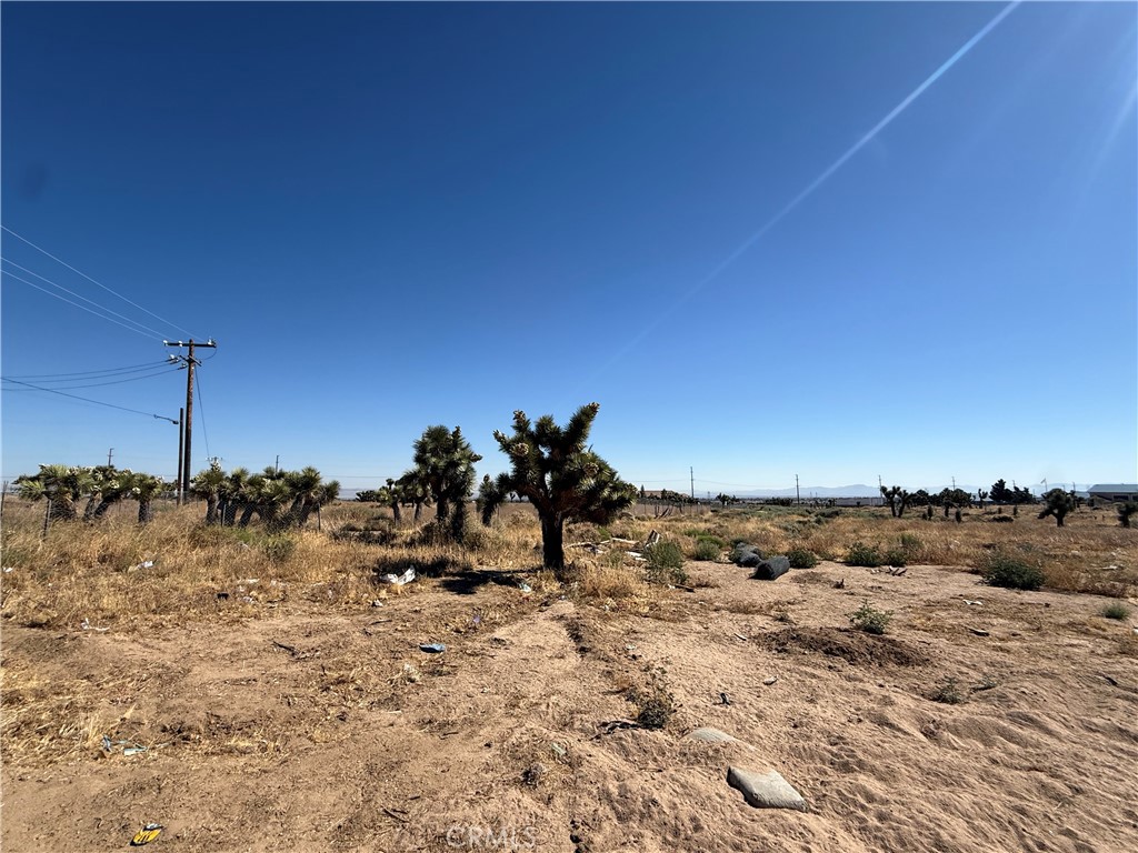 9589 Paramount Property Photo 8