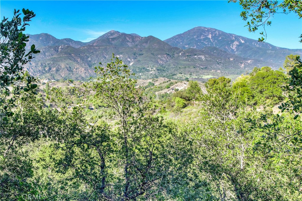 7 Via Encanto Property Photo 71