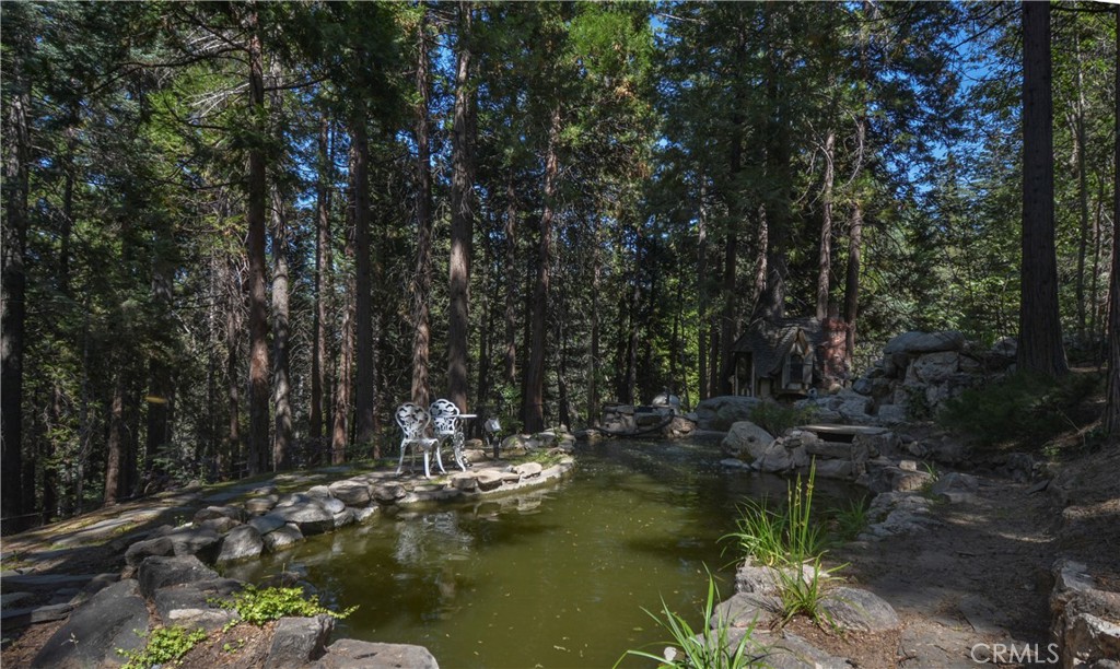 139 Cedar Ridge Property Photo 29