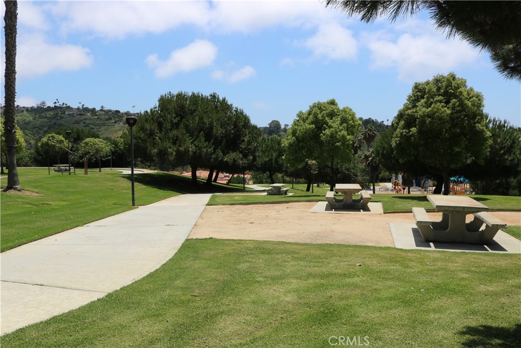 1031 Via Presa Property Photo 43