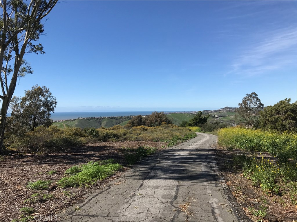 1031 Via Presa Property Photo 49