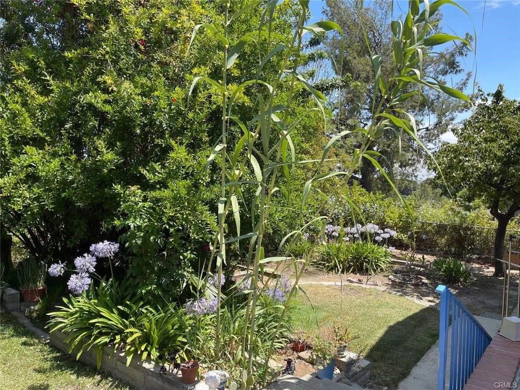 1420 Kensington Drive Property Photo 2