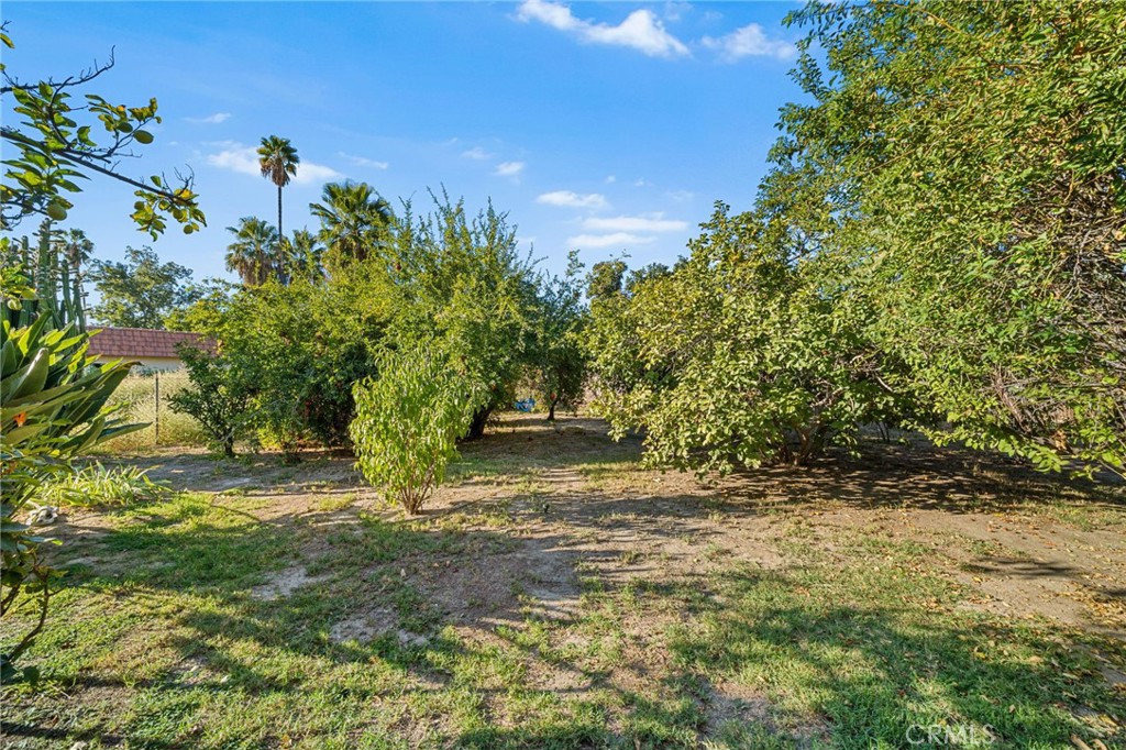 1584 E Davidson Street Property Photo 24