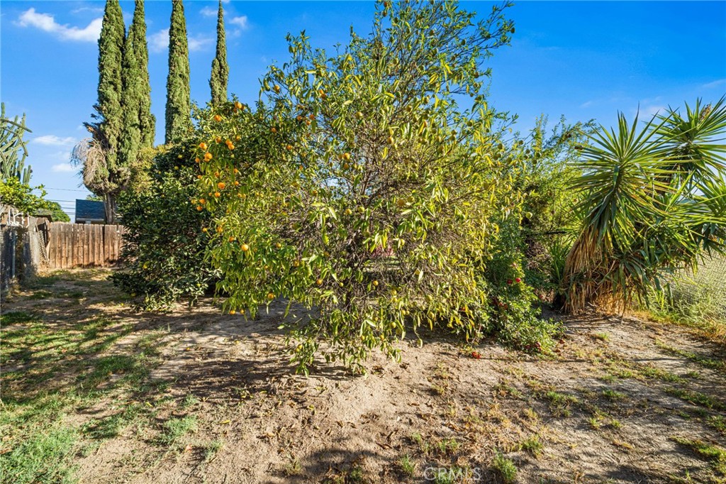 1584 E Davidson Street Property Photo 29