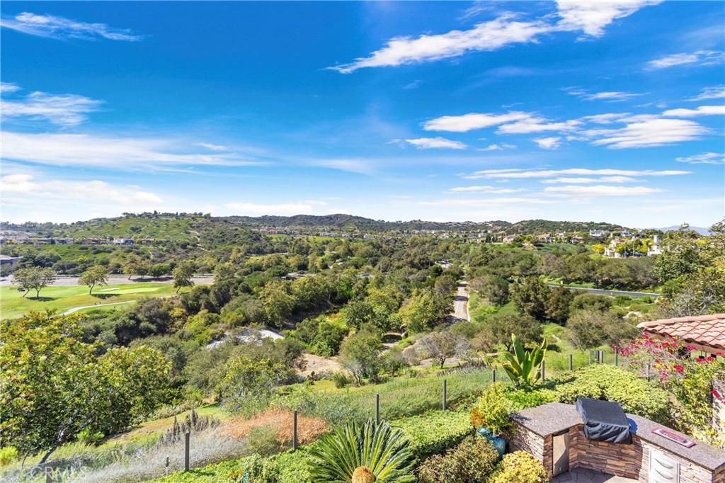 29 Via Cartama Property Photo 44