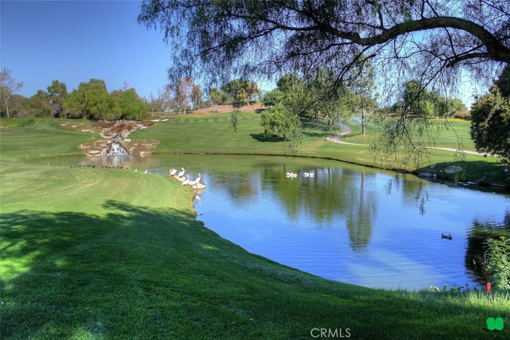 7 Playa Property Photo 49