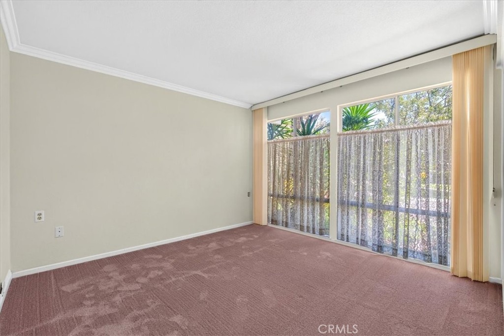 356 Avenida Castilla B Property Photo 14