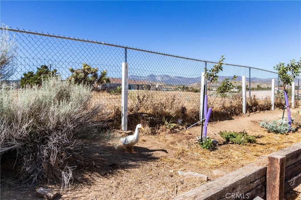 8650 Cowberry Road Property Photo 61