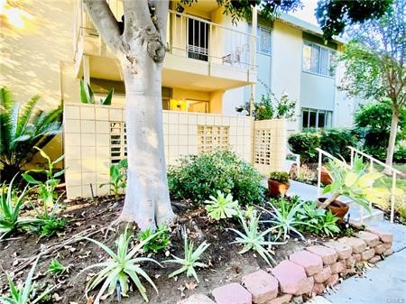 185 Avenida Majorca D Property Photo 1