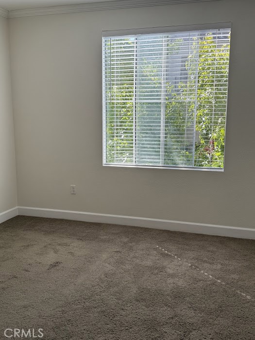 2341 Watermarke Place Property Photo 11