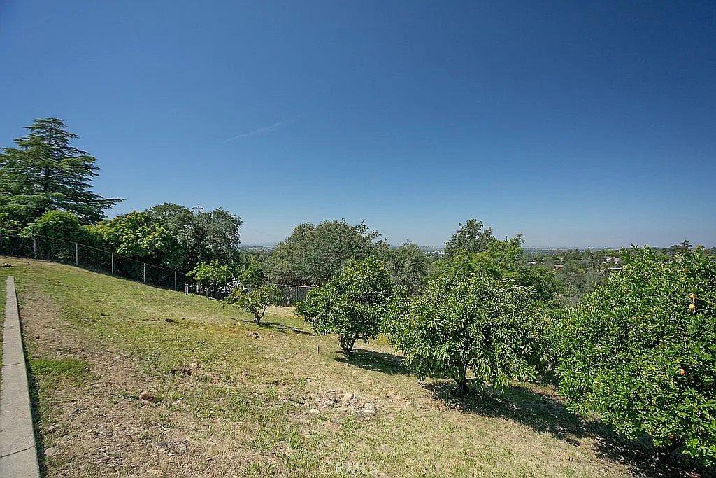 4 Lemon Hill Court Property Photo 51