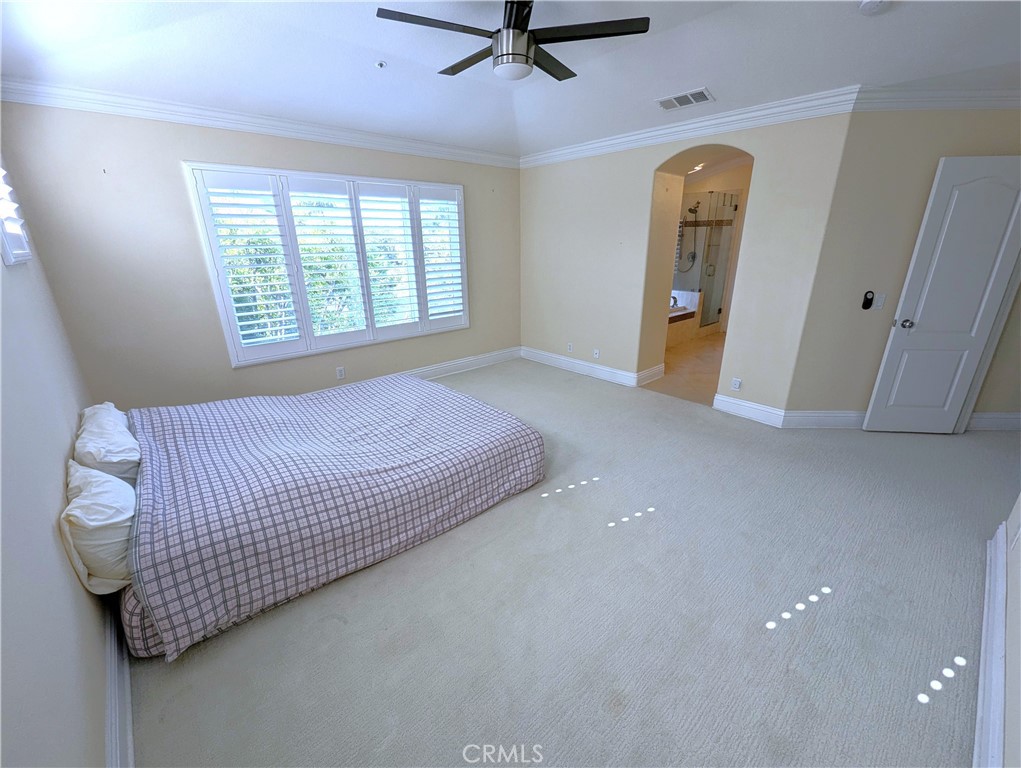 8204 Constantine Drive Property Photo 20