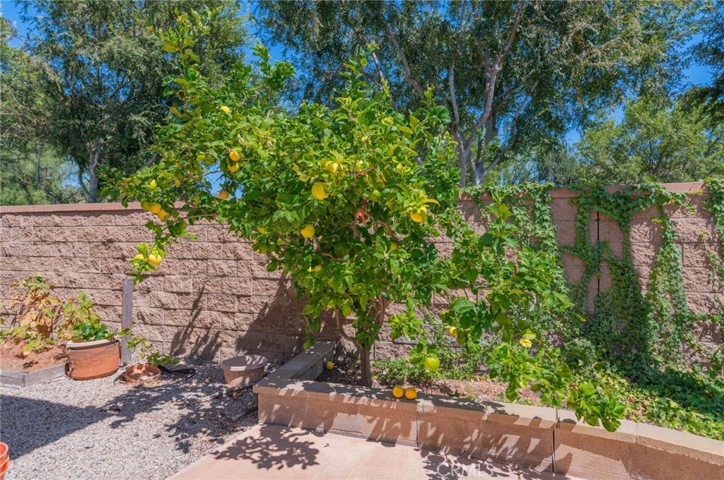 36 Trailing Ivy Property Photo 45
