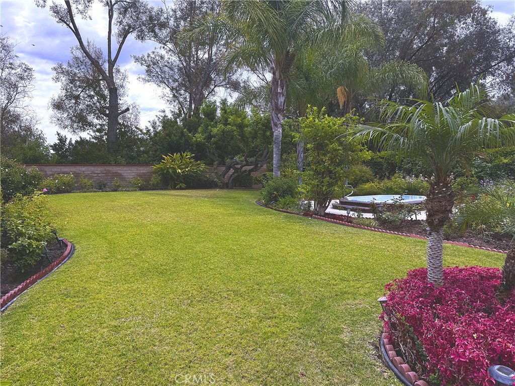 1882 Calle Madrid Property Photo 6