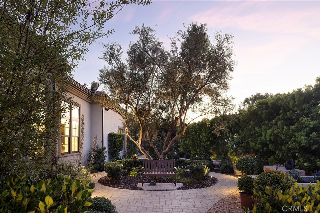 33166 Paseo Celestial Property Photo 40