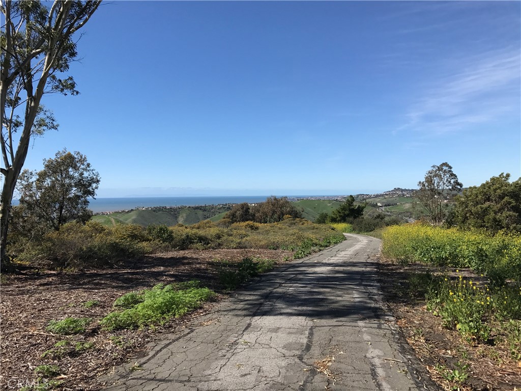 1003 Via Presa Property Photo 58