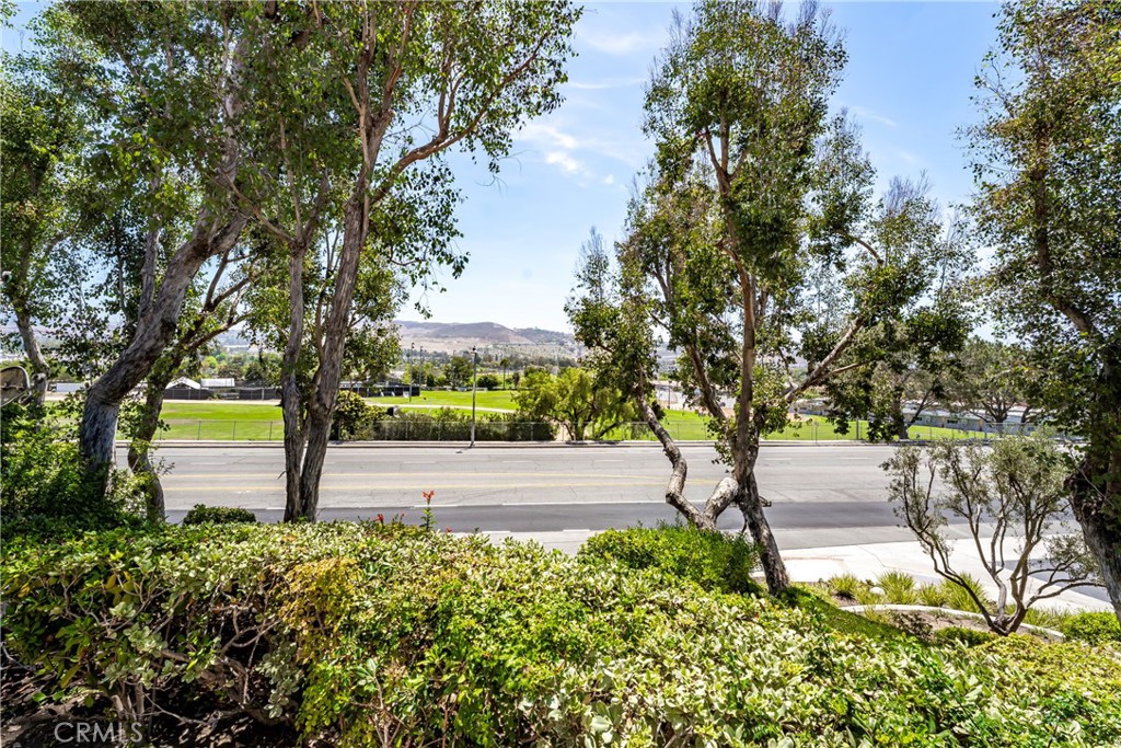 25743 Anchor Property Photo 31