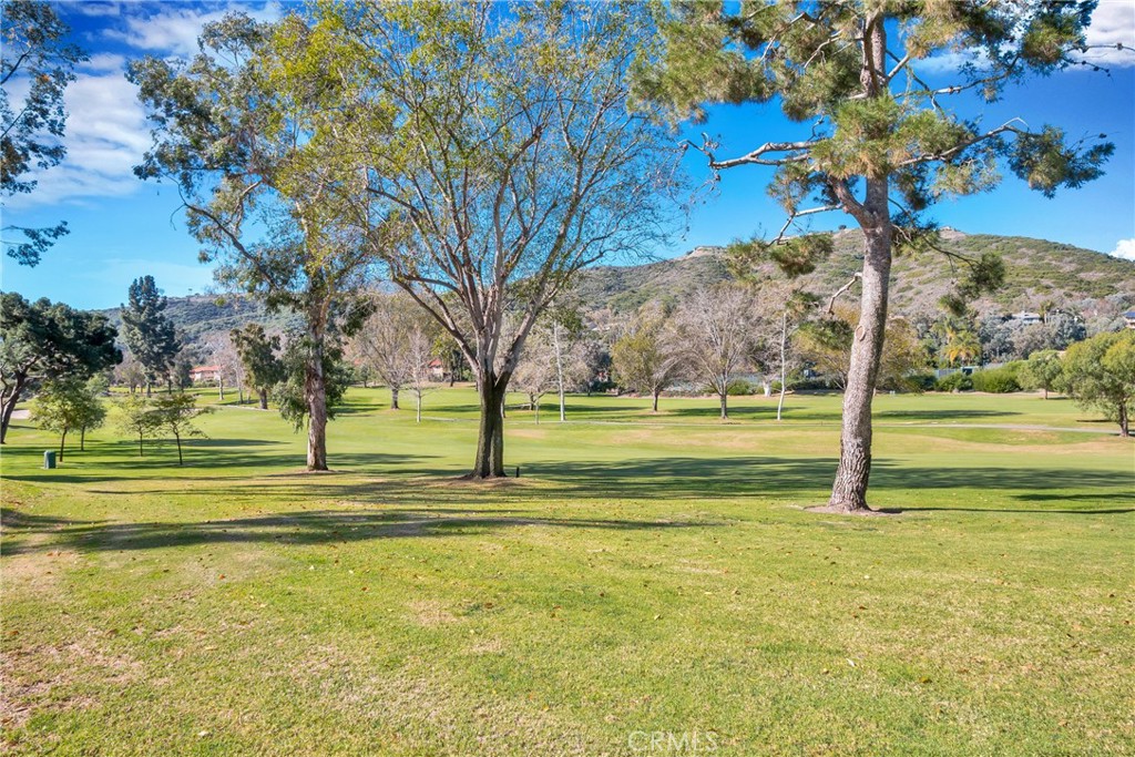 31152 Boca Raton Property Photo 46