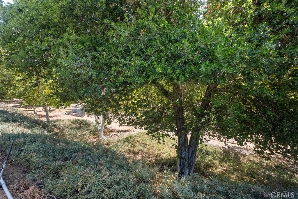 23955 Via Astuto Property Photo 44