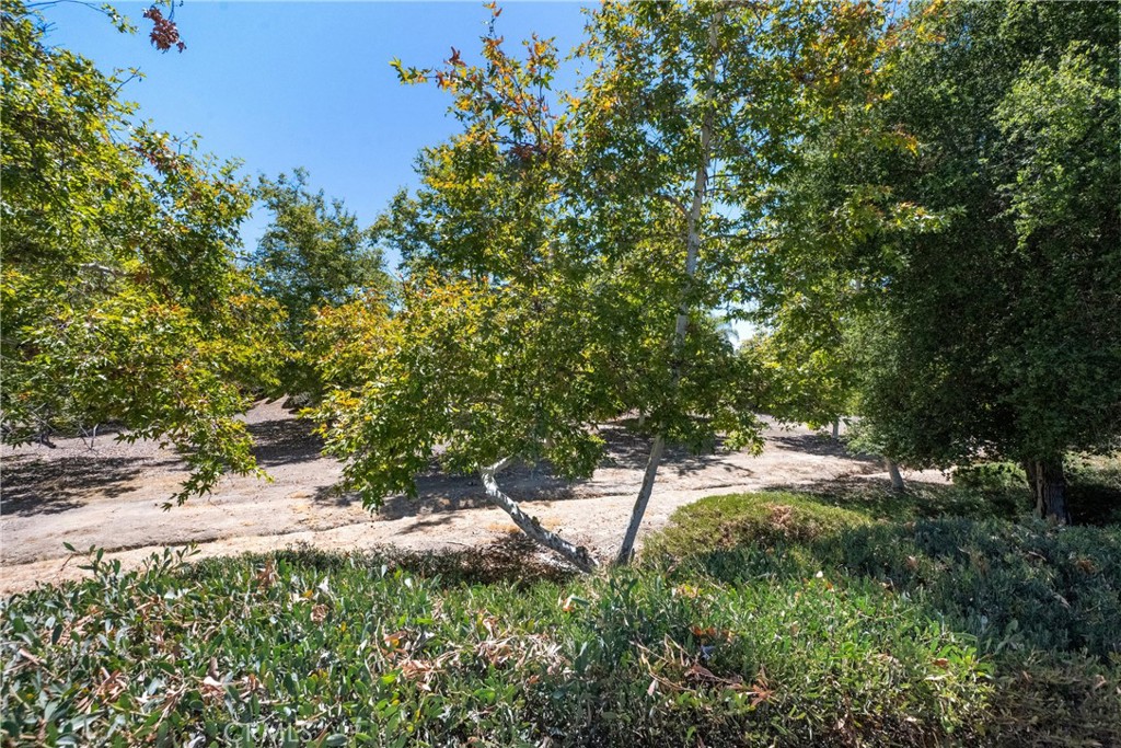 23955 Via Astuto Property Photo 45
