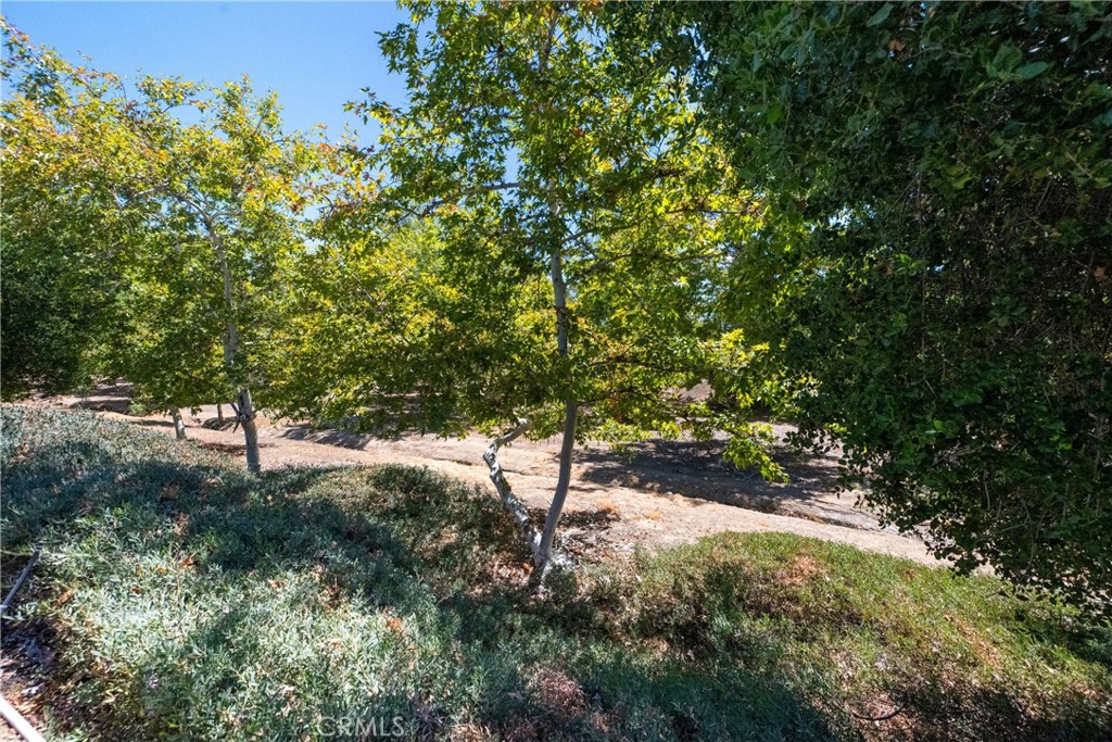 23955 Via Astuto Property Photo 46