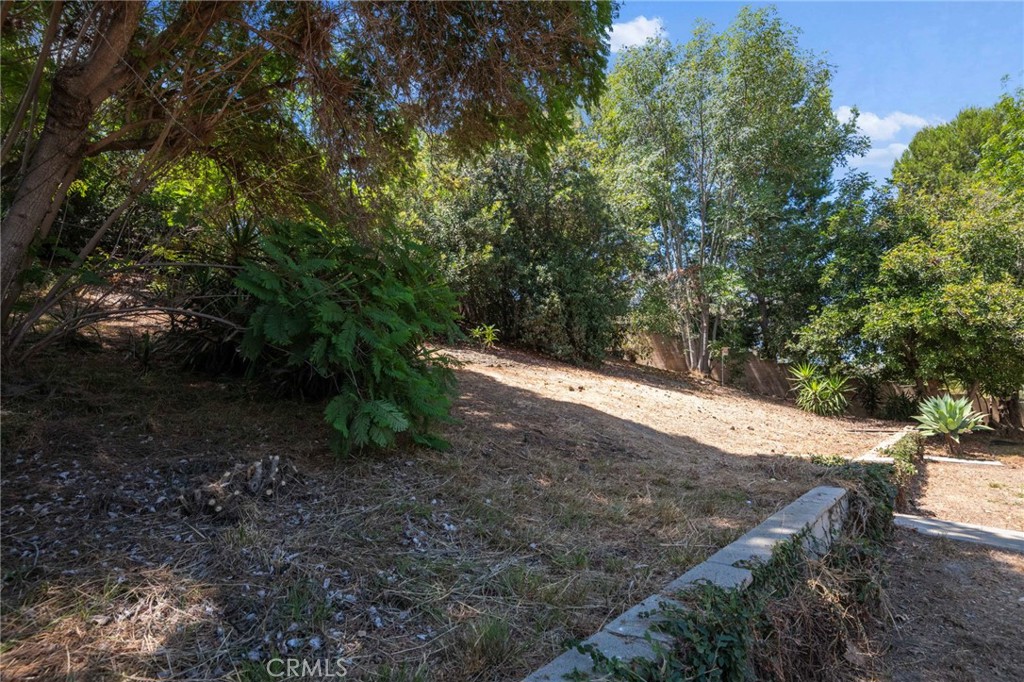 1541 Pinewood Place Property Photo 39