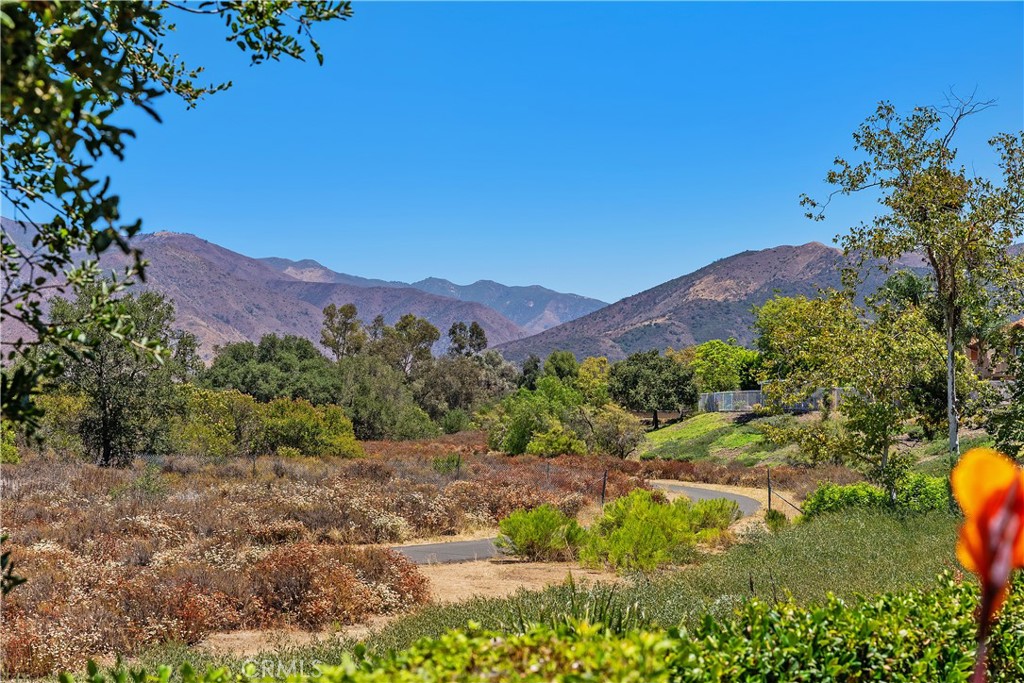 27 Lobelia Property Photo 27
