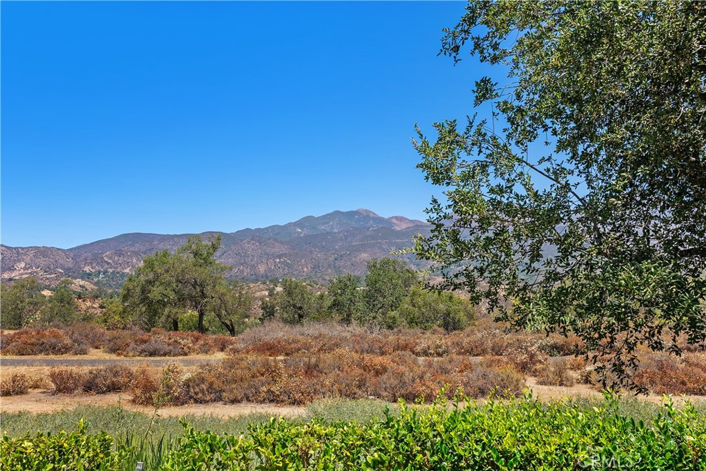 27 Lobelia Property Photo 28
