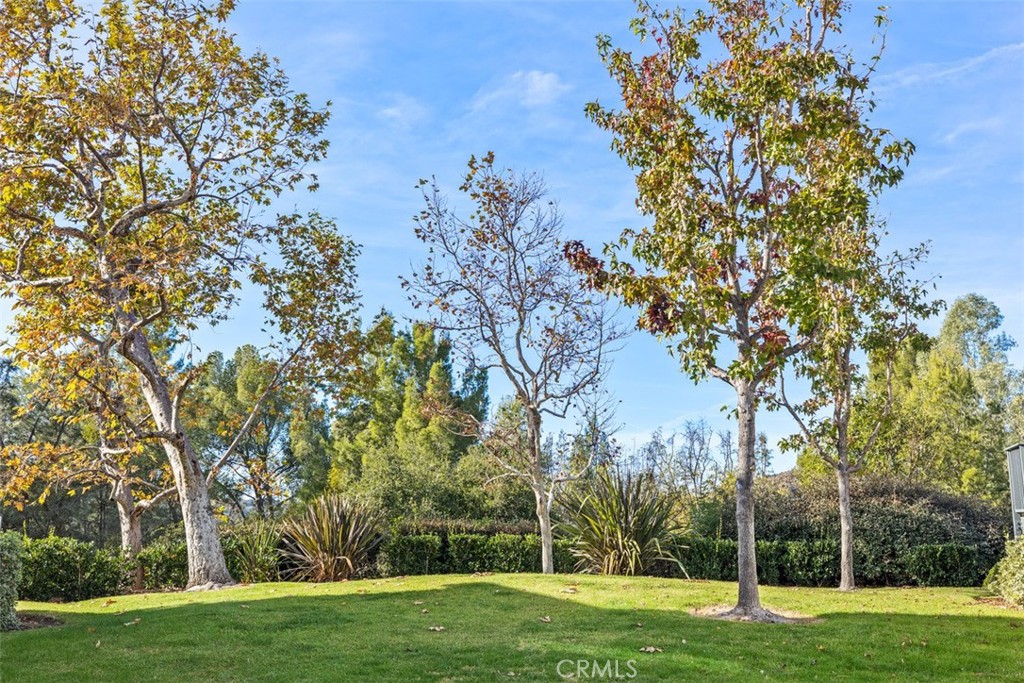 27 Lobelia Property Photo 30