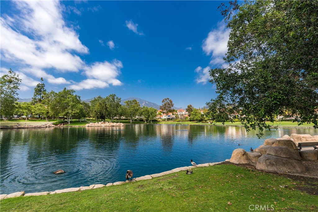 27 Lobelia Property Photo 42