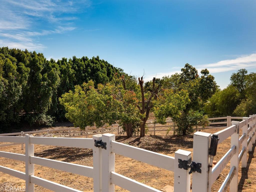 31899 Calle De Talar Property Photo 43
