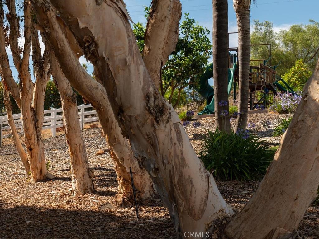 31899 Calle De Talar Property Photo 46