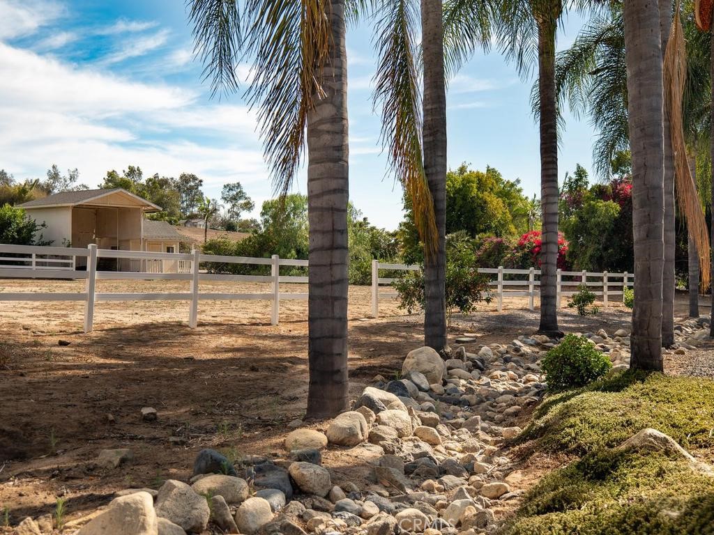 31899 Calle De Talar Property Photo 52