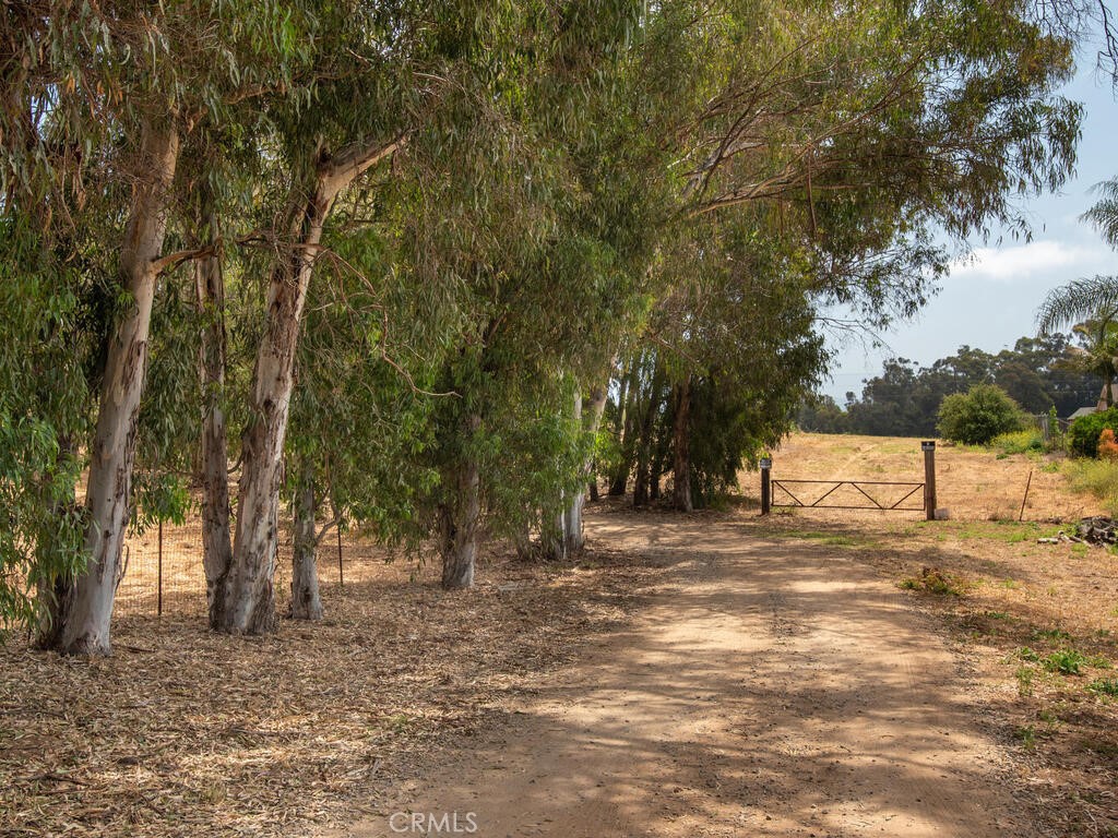 0 Mcdonald Property Photo 3