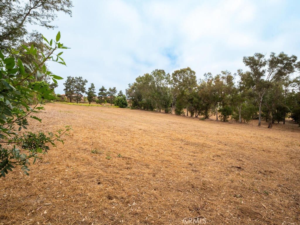 0 Mcdonald Property Photo 6