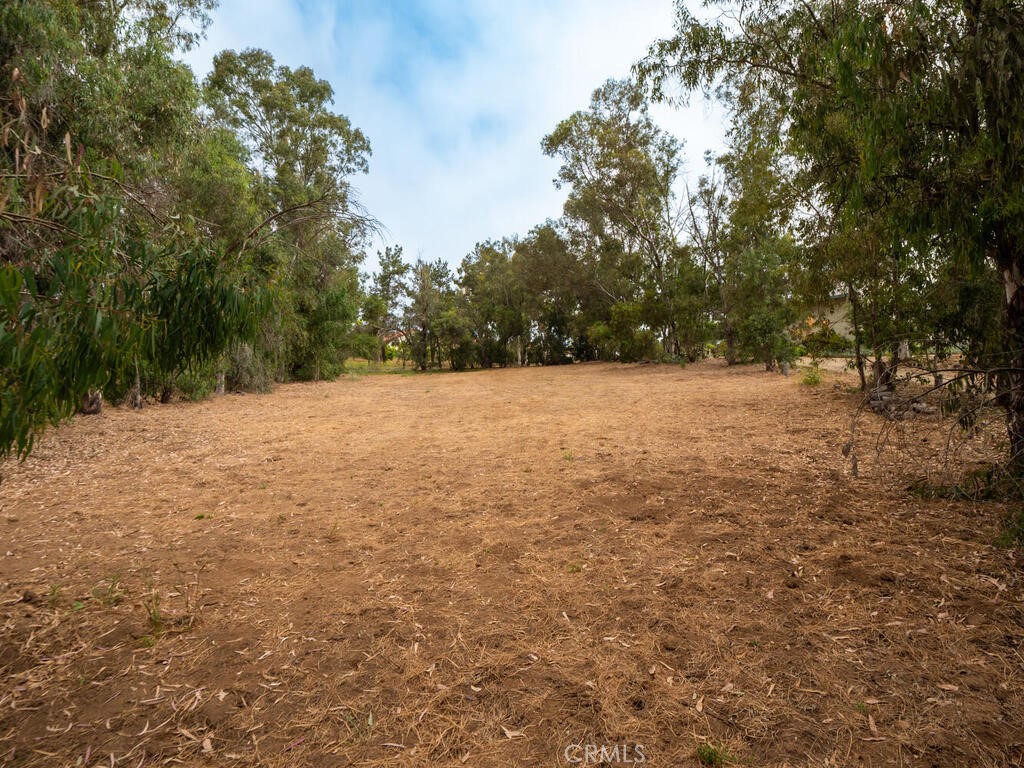 0 Mcdonald Property Photo 8