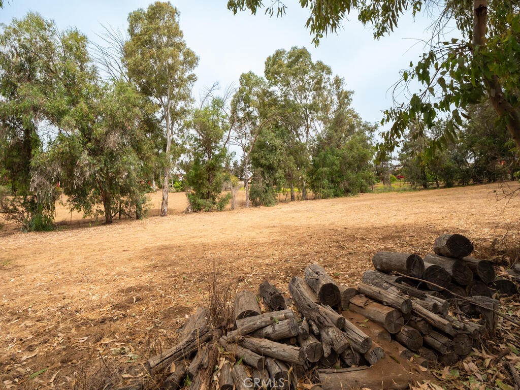 0 Mcdonald Property Photo 9