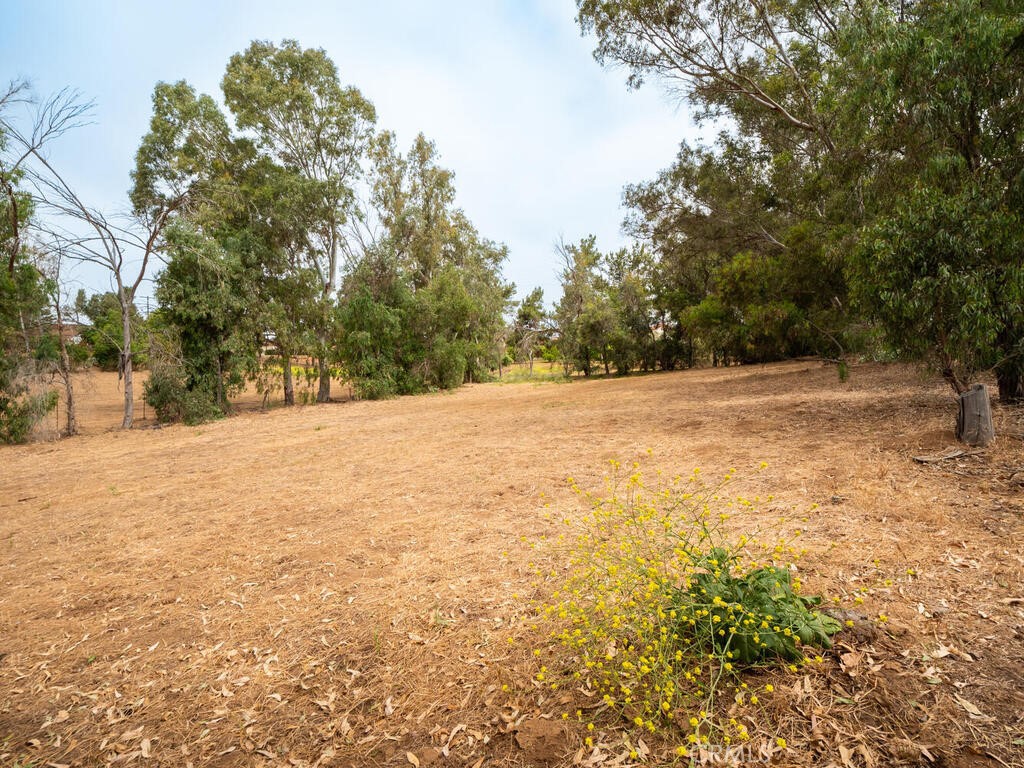 0 Mcdonald Property Photo 10